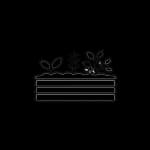 Raised Garden Beds