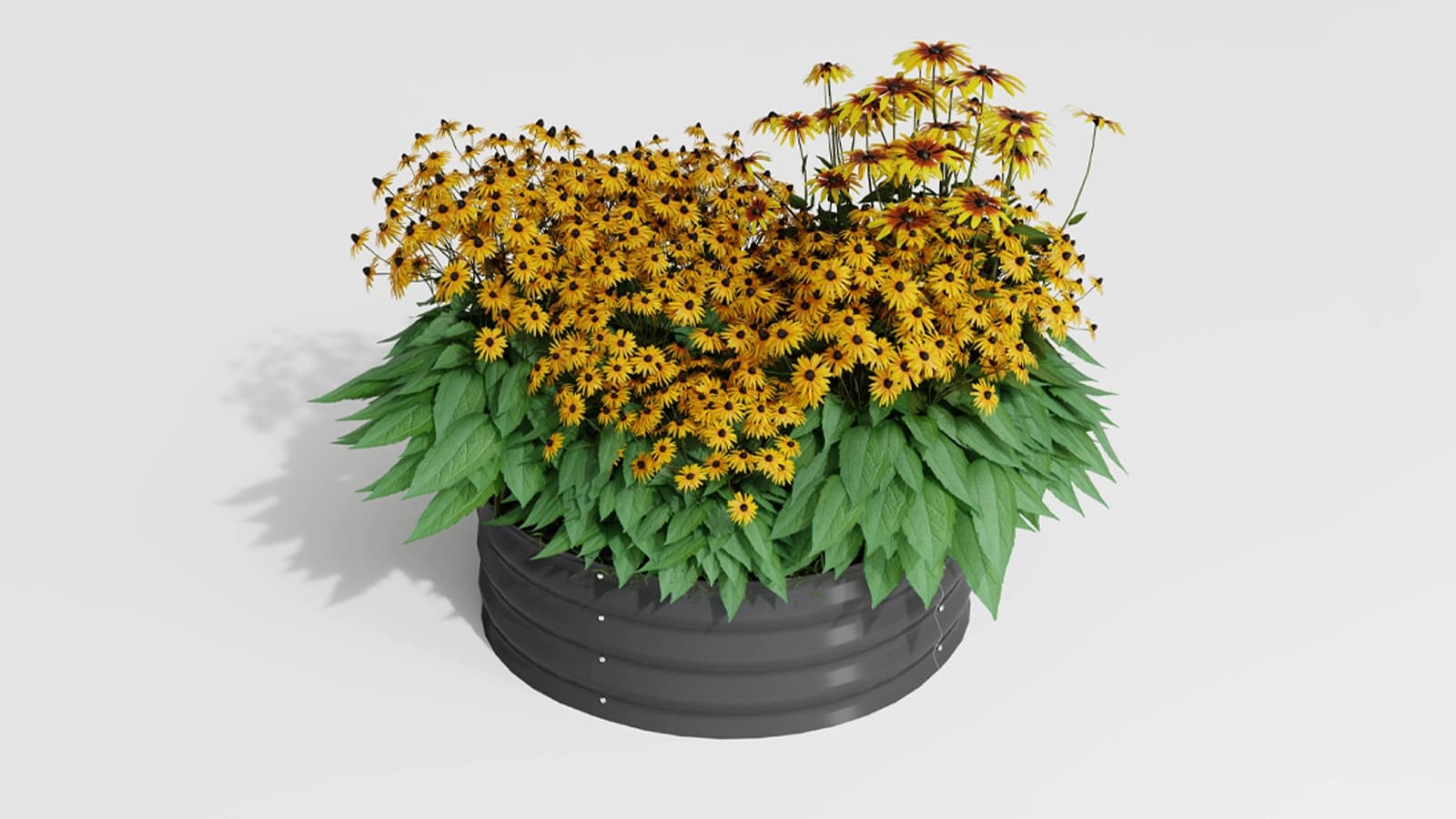 Raised Garden Bed FC-C4C